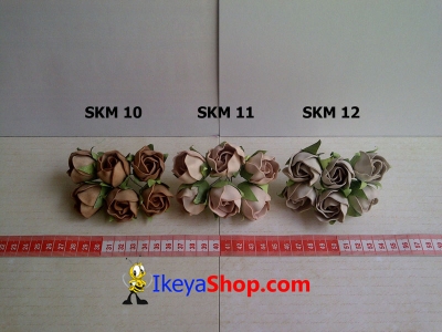 SKM 10 12  large2